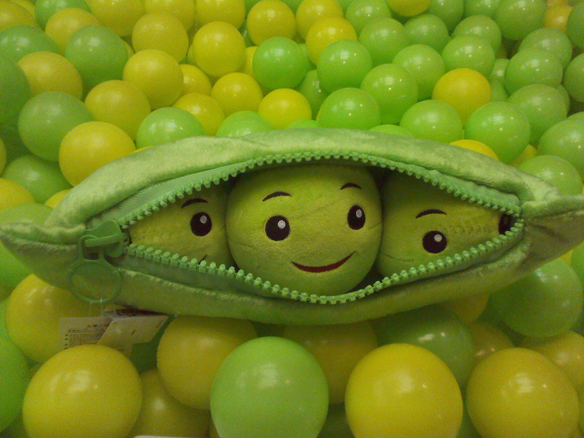 ラウンドワンスタジアム郡山店 Auf Twitter トイ ストーリーから お豆三兄弟 が ぬいぐるみになって登場です コロコロ飛び出てかわいい E ファンの方はgetするしかない ラウワン郡山 トイストーリー お豆三兄弟 T Co Rp7ou7obce