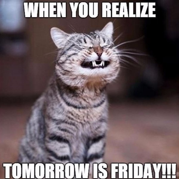 Guess what? IT'S FRIDAY TOMORROW! To celebrate we're giving away an extra special prize. Stay tuned for more...