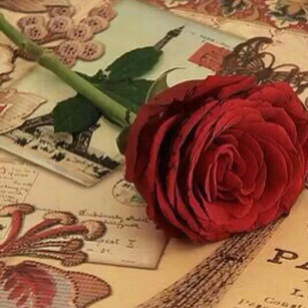 abeerkanj's tweet photo. قبّلِ لي رأسَ أمّك, فَهي أنجبت لي نصفي وَ جمالُ حياتي♡' https://t.co/srTw5gMWq9