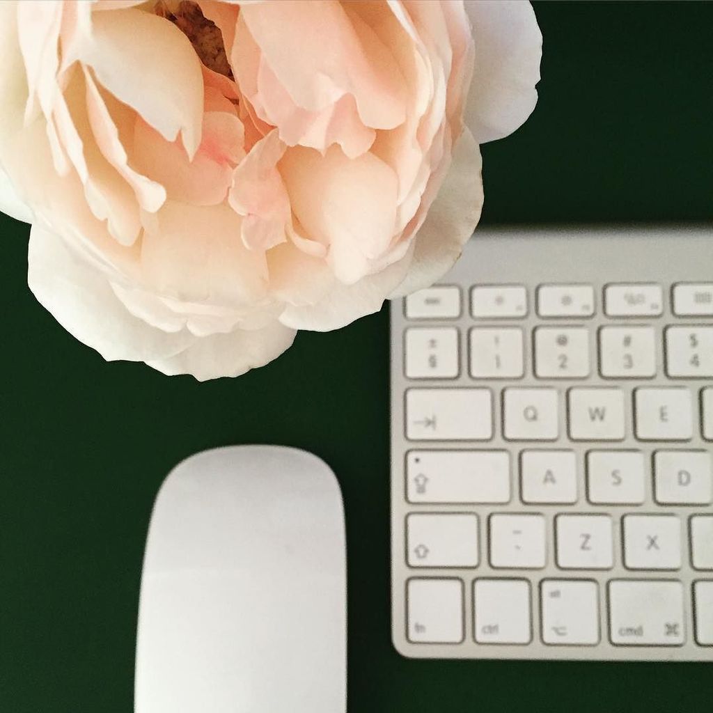 AmusingMeow's tweet image. Floral inspiration to help with the editing. #flowerlove #fragrance #photographerlife ift.tt/1R0hK8B