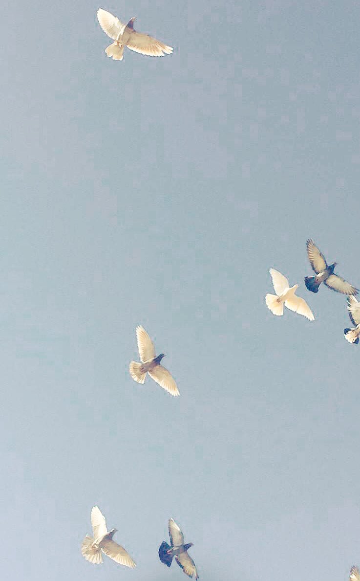 m99m45's tweet photo. اجمل مافي الصدفة انها خاليه من لانتظار https://t.co/xKjNOUaTah