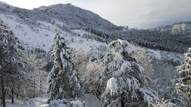 ChasseArdeche's tweet photo. De beaux paysages enneigés ce matin au Col de l'#Escrinet :) #ardèche https://t.co/SUvOWENSoH