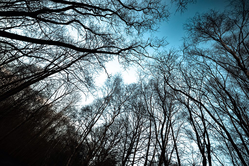 fatjabba74's tweet photo. Another photograph #photography #graphicdesign #mattharrisgd #wideanglelens #deephayes #peakdistrict #nikon https://t.co/cLYbQkRsiQ