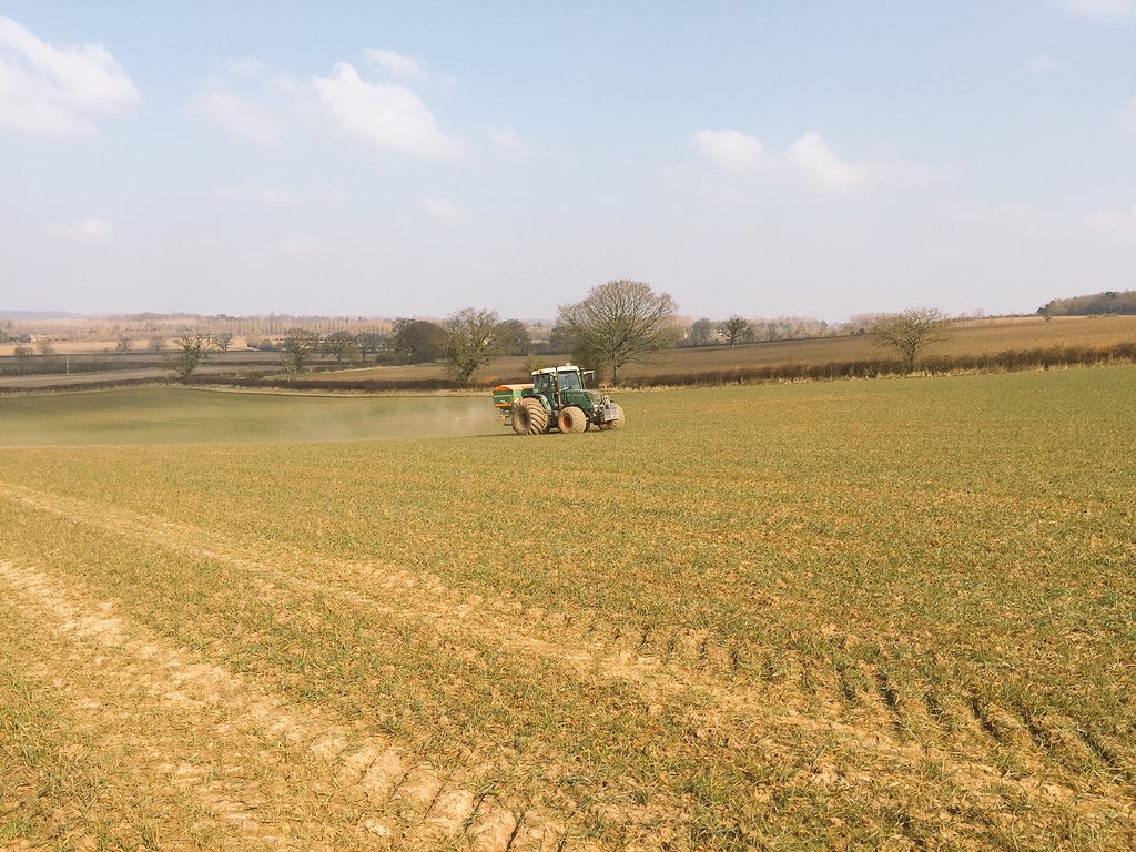 farmersamclarke's tweet photo. Lovely soft footprint from the fertiliser tractor #widetyres https://t.co/l0JG2gsD0w