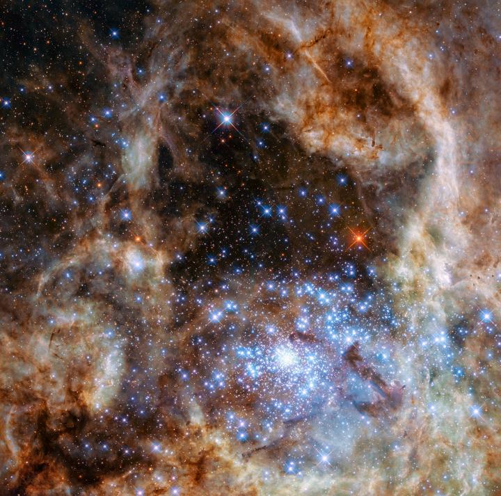dailygalaxy's tweet photo. Hubble Captures Monster Stars --"They Outshine the Sun by a Factor of 30 Million" https://t.co/APLmEeN7f9 https://t.co/c2LoR8yKOw