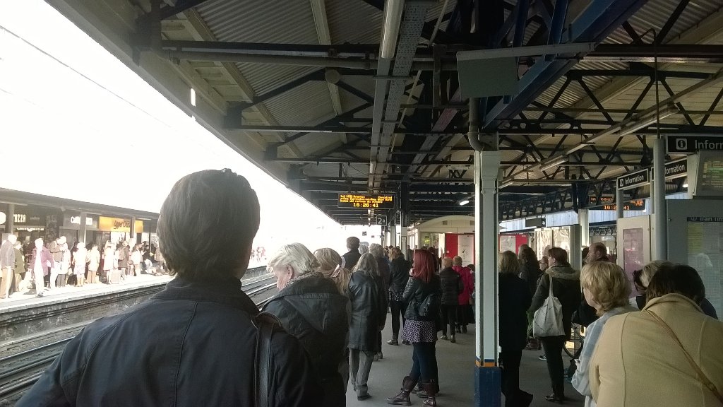 Marc Arscott tweet media