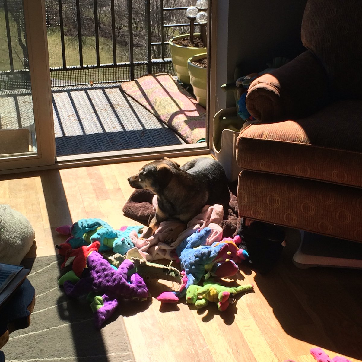 EllaInTheCity's tweet photo. Not gonna lie. Having a pretty good morning. #HomeOffice #SpringHadSprung #NeedMoreToys https://t.co/GGj9yYc8uQ