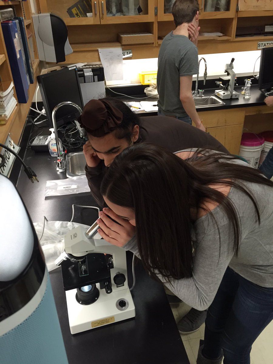 forthighschool's tweet image. Daphnia lab, #discoveringhormones #bio30 #fortsask #sting #endocrinesystem #adrenaline