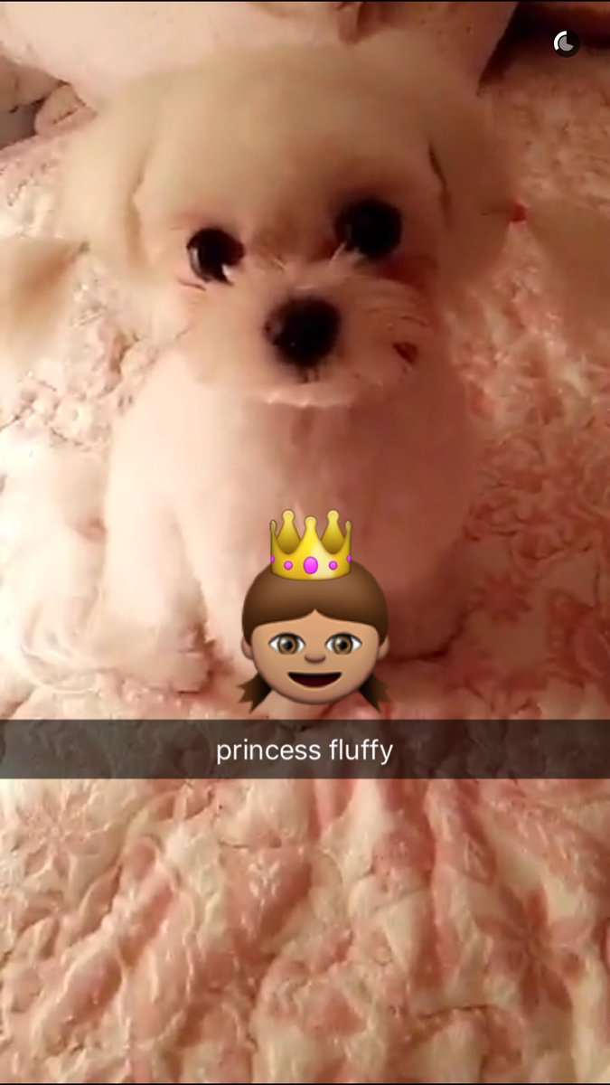 fanillattae's tweet photo. So tiff/tae officially adopted princess? https://t.co/yHHNIPmEBg