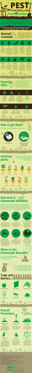How to get rid of pests from your garden #infographic: via <a href="/nycitypestctrl/">NYCitypestcontrol</a>