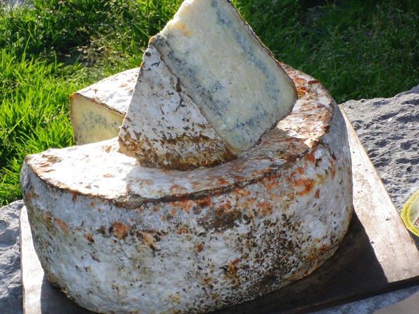 El maestro quesero tweet media