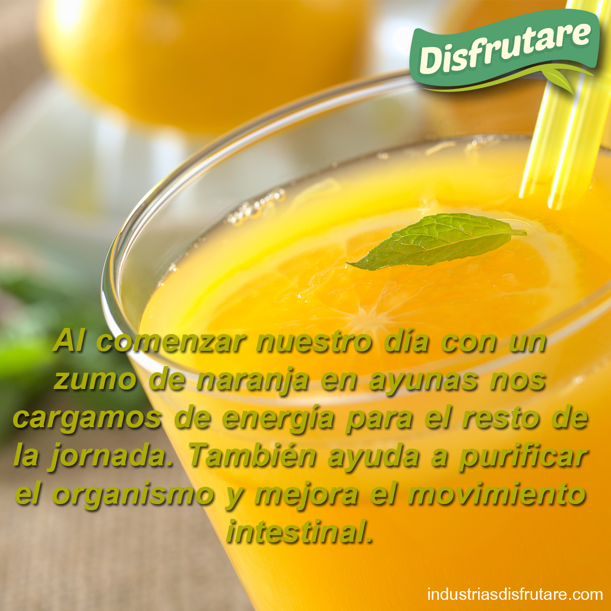 IndDisfrutare's tweet photo. #comesano #comebien #yomecuido #comienzodeldia #naranja #energia #salud #Disfrutare #LoRicoDeLaNaturaleza https://t.co/be3GtLmsnt
