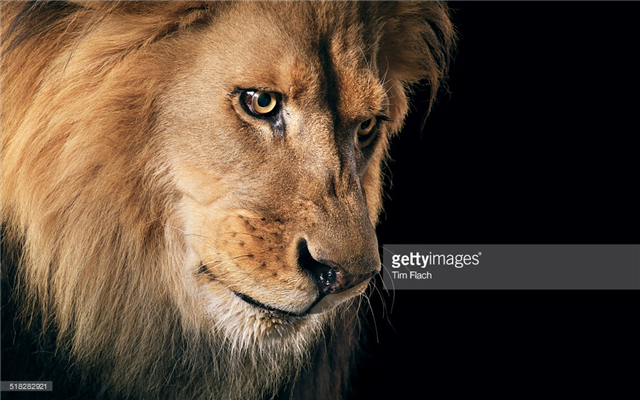ahussam's tweet photo. Free Online Photography Course @NorwichUniArts @SkillsetSSC @TimFlach #FLcommercialphoto https://t.co/y8hMDobga5 https://t.co/Uu0x5w4NKX