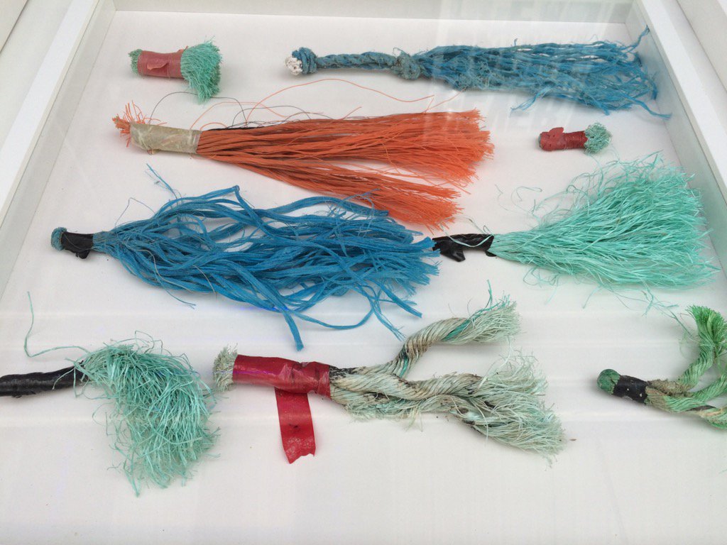 w_peeters's tweet photo. Don't know what to do with these? @healthyseas_org does! Contact us directly or meet me at #PolyTalk2016 https://t.co/gkxRqEniHT