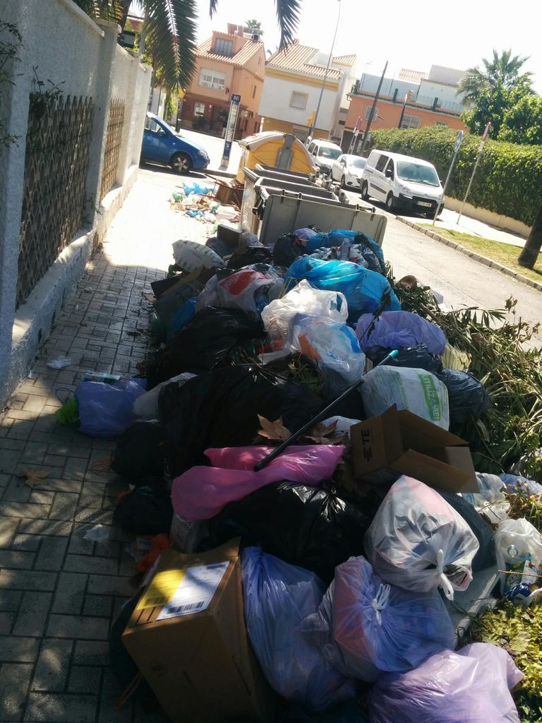 guillePrats's tweet photo. Esto cuenta como recoger? @DiarioSUR #huelgalimasa https://t.co/LAaBFVR1JM