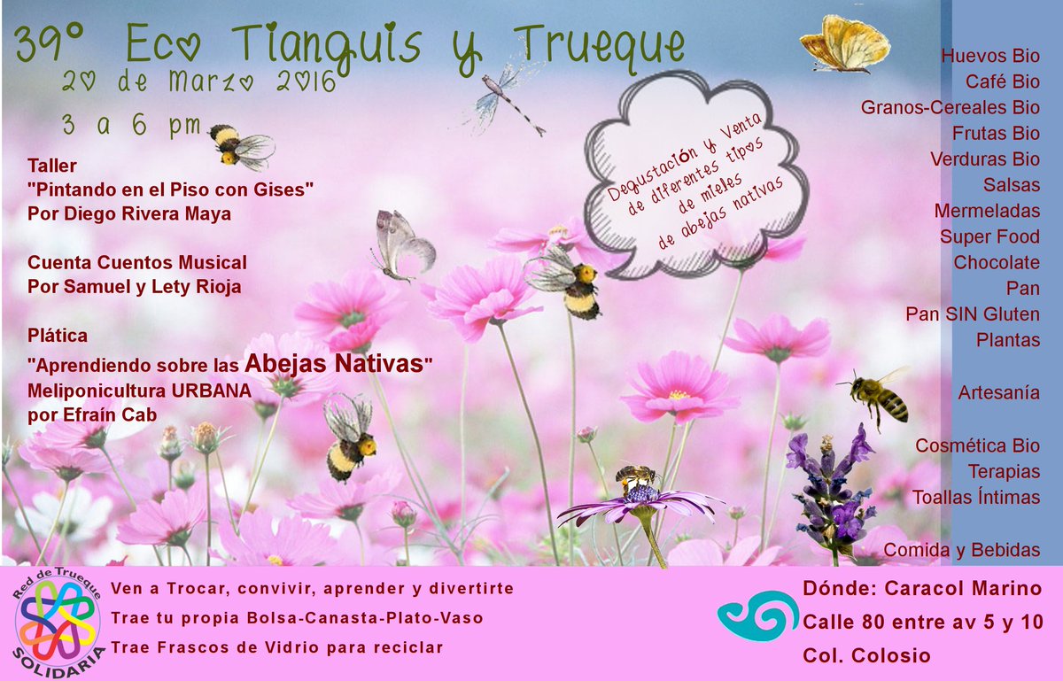TransicionPlaya's tweet photo. #GO @libroslibrespdc @bicinetamx @wheretogoplaya @YOAMOPLAYARADIO @Playahit @PlayaGuide @LaGacetaPlaya @lapancarta https://t.co/VPNDUkPUMz