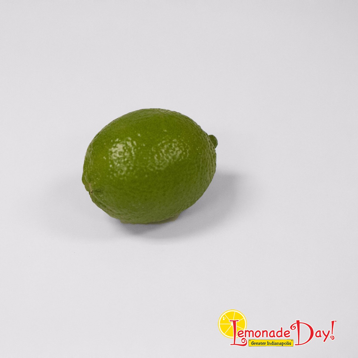 lemonadedayindy's tweet photo. That's not a lime. That's just a lemon getting into the St. Patty's Day spirit. Happy #StPatricksDay! #ldindy https://t.co/3xviclx4wr