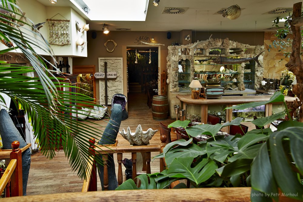 LCAPRG's tweet image. Přijďte se podívat na náš korálový bar:-) Rezervace pro skupiny vám přinesou až 40% slevy! lacasaargentina.eu/czech/nase-pro…