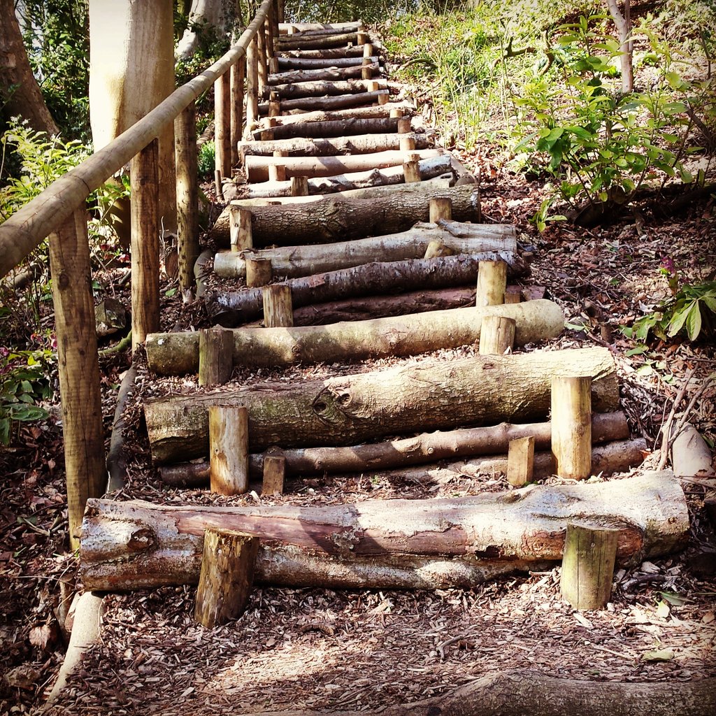 SoloMudders's tweet image. There is always a climb to reach the top but never let that stop you Just choose the way you climb.
#ocr #fitness