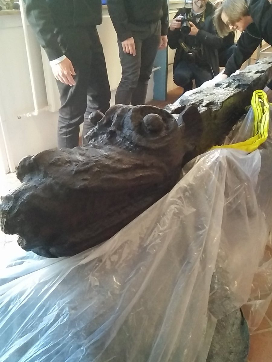 Nationalmuseet's tweet photo. ...og her er hundens hovede. Nu skal den "bare" løftes op. #Gribshunden #bevaring #arkeologi #dkhist #dkhistorie https://t.co/6bfHcdCxbw