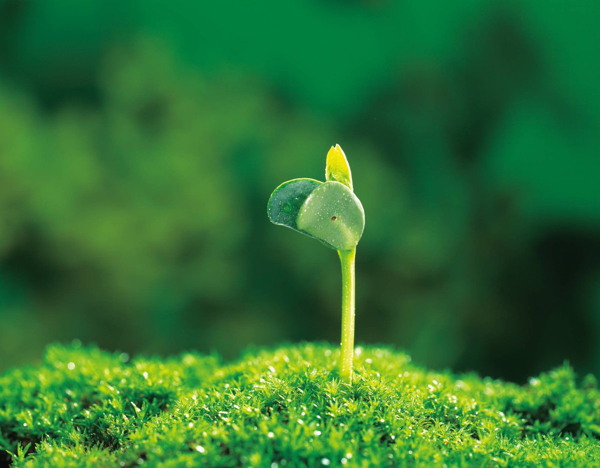 Bayer's tweet image. At Bayer we believe it is again time for a paradigm #change in #agriculture to safeguard global #food security.