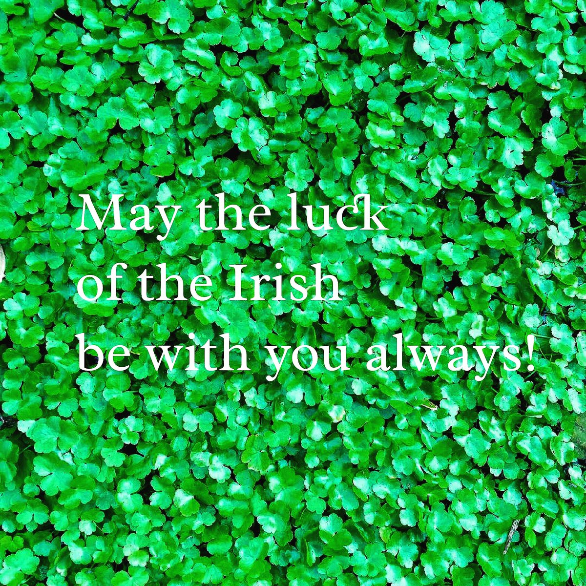 EvelynStyilst's tweet photo. #HappyStPatricksDay Donald! Remember  great things come from #immigration @HowardDonald #luckoftheirish https://t.co/eSVOVOzYzA