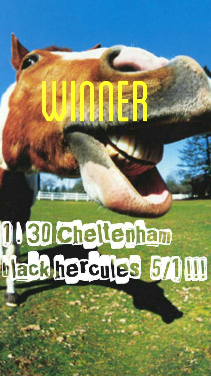 toffstoptips's tweet photo. #WINNER #CheltenhamFestival #StPatricksDay #horseracing https://t.co/rHuFxe4qNt