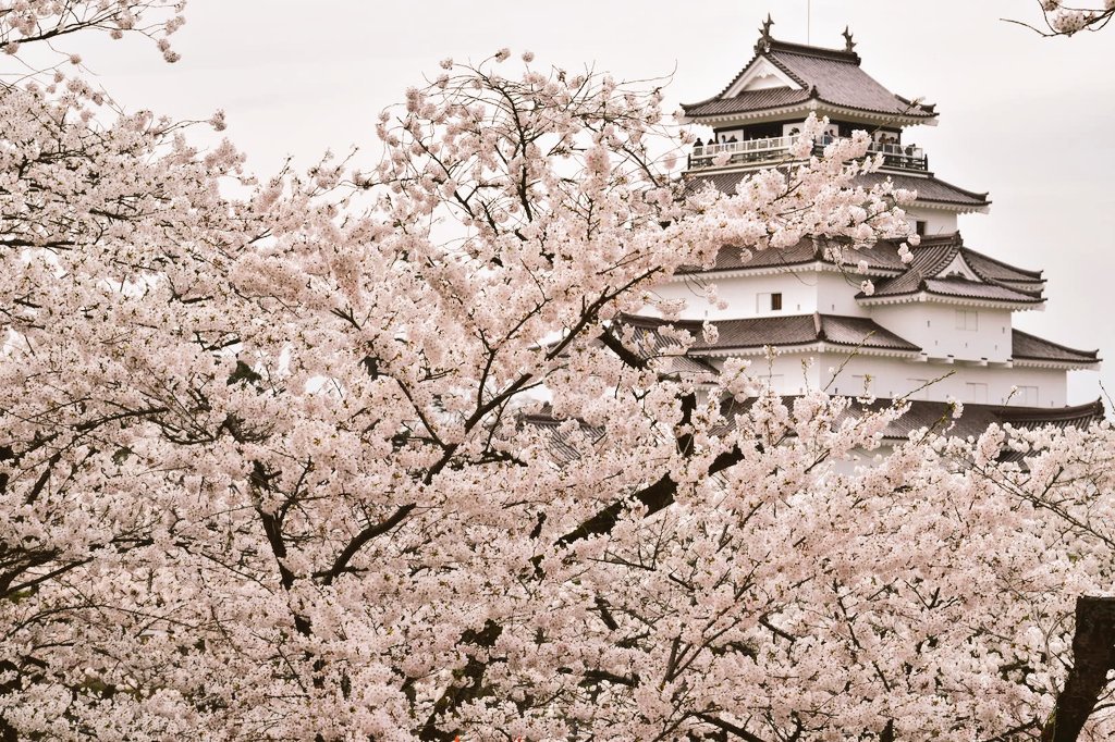 日本の城見聞録