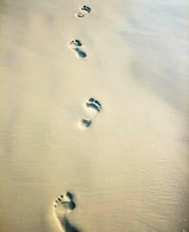 brenbarb's tweet photo. Let it go, walk away and enjoy this lovely sunny day!! ❤❤ https://t.co/enlMw3ObFm