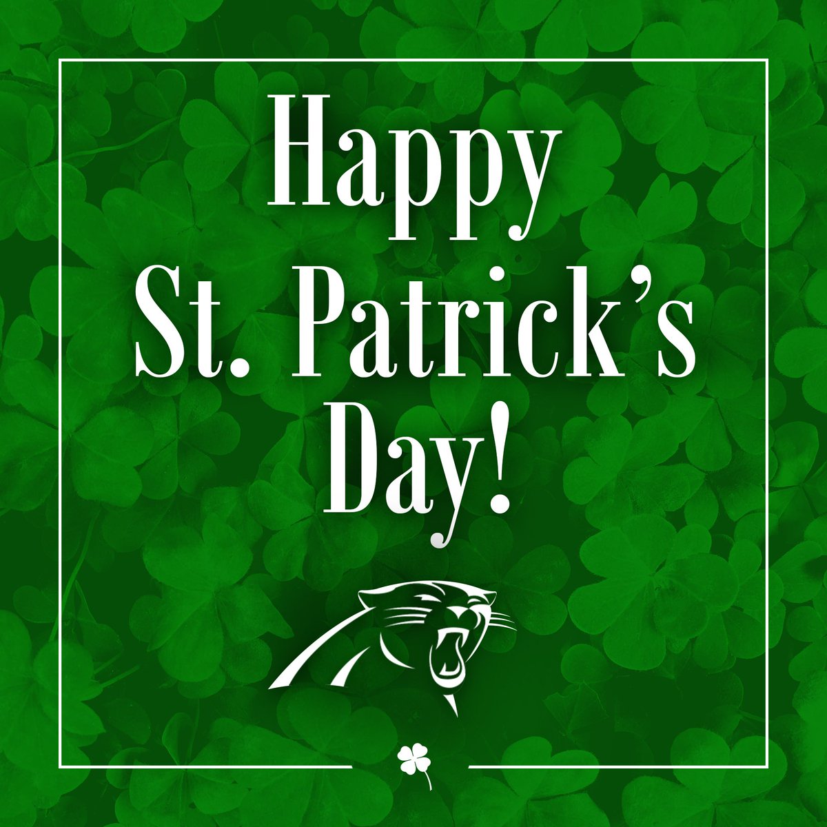 Panthers's tweet photo. Happy #StPatricksDay! https://t.co/imJwa9jspS