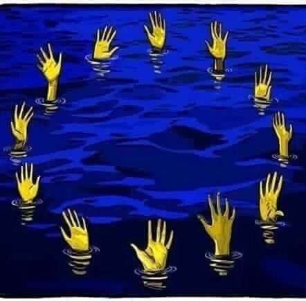 eldimoni@eldimoni.com tweet media