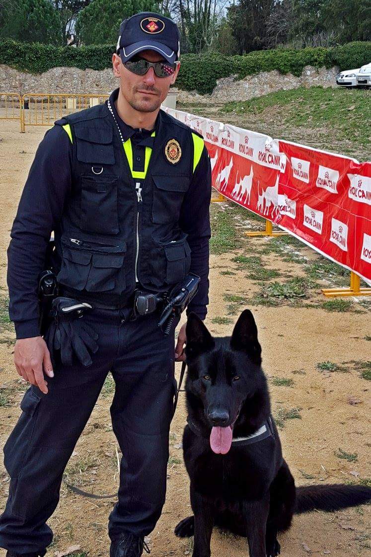 CaldesK9's tweet photo. Participacio de la Unitat Canina a la fira de la Terra , Caldes de Malavella https://t.co/5So1b5zfeZ