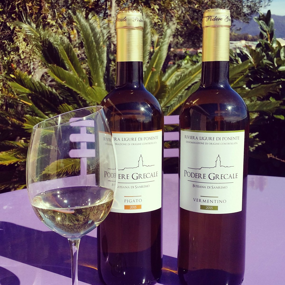 PodereGrecale's tweet photo. Nuovo look per #vermentino e #pigato 2015! Pronte da bere! #sanremo #viniliguri #liguria #vino https://t.co/QDyWKvMUQ0
