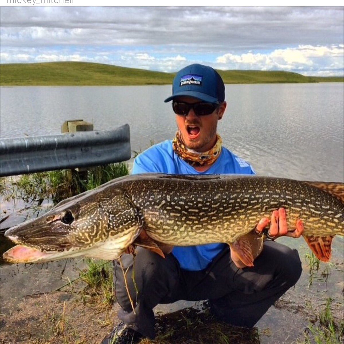 tightlinedfish's tweet image. Don't just get in the #greatoutdoors ... #experienceit PC: mickey_mitchell #tightlineretrieval #tightlines #fishing