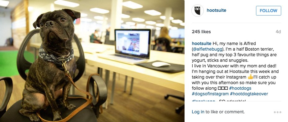 Try showing off your culture on Instagram instead of your app screenshots! 

buff.ly/1RGIKHS #Marketing