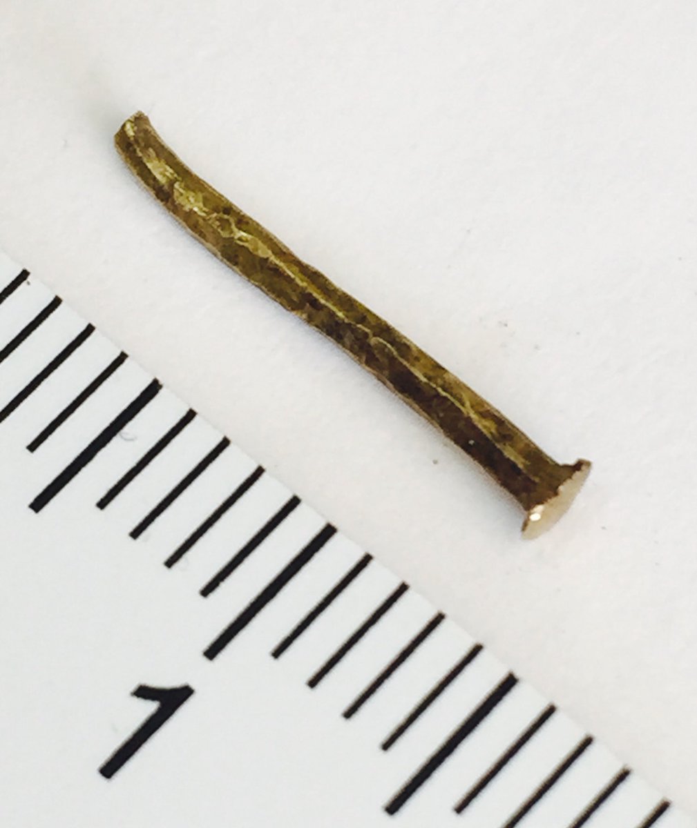 elmillertime's tweet photo. Look at this perfect little gold Anglo Saxon rivet I've just discovered in a clump of @staffshoard soil https://t.co/Sv3iZPpQ1E