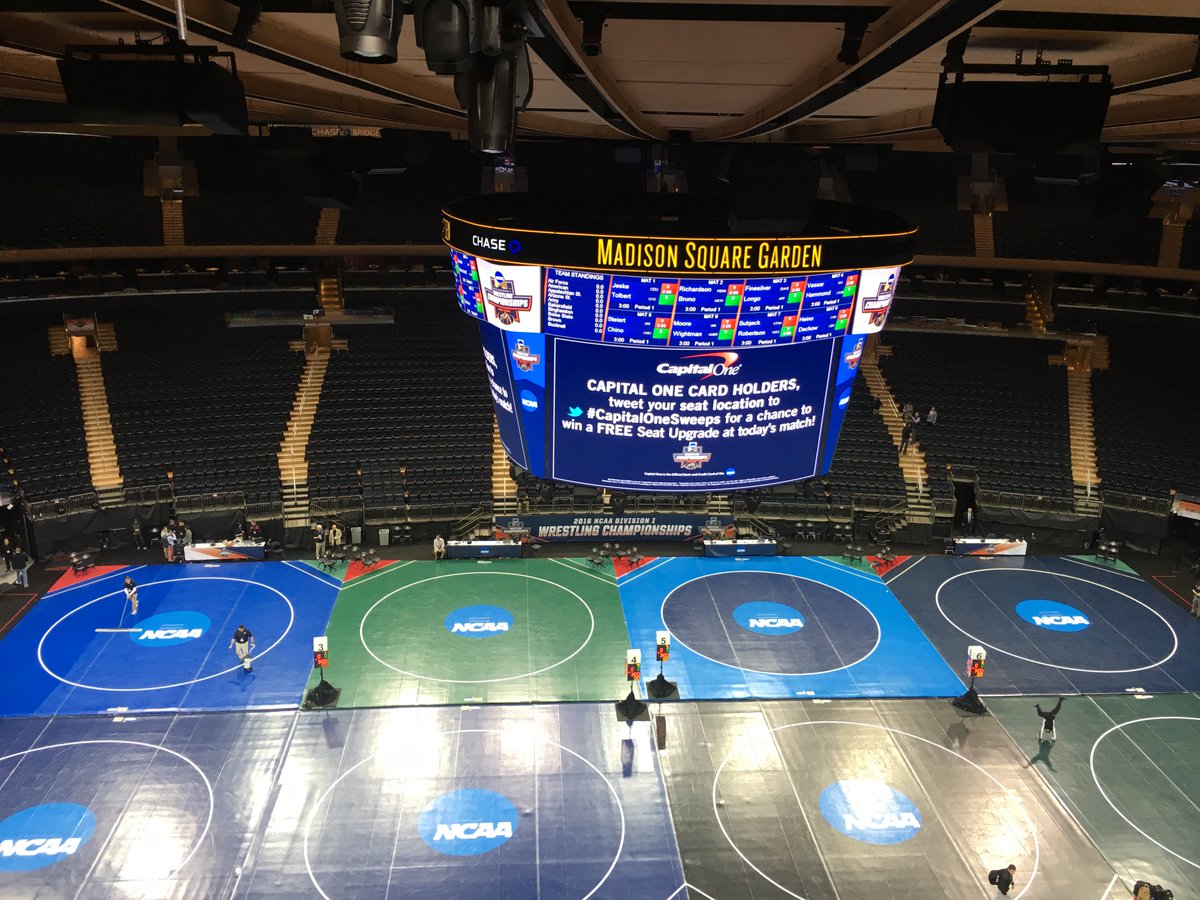 WVU Wrestling tweet media