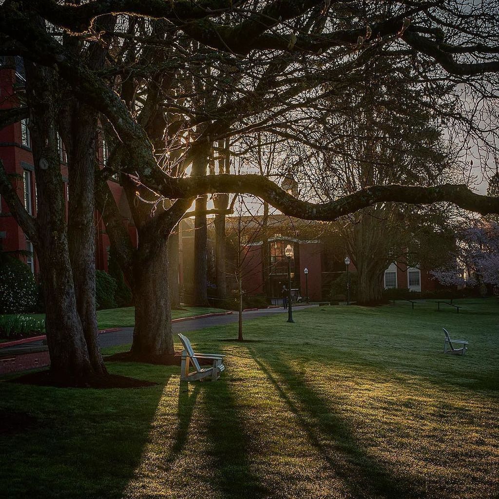 willamette_u's tweet image. Morning sun over the quad. #willamette_u #spring #quad #morning #sunrise ift.tt/1XxNaFa