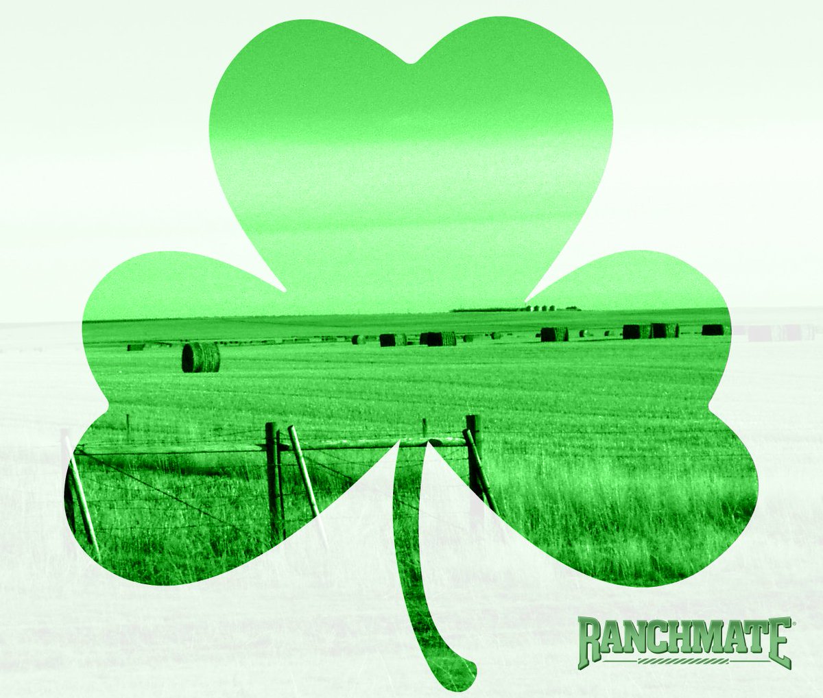 Ranchmate's tweet photo. Top o' the mornin' to all the hard-working farmers and ranchers out there! Happy St. Patrick's Day! #StPatricksDay https://t.co/1R1LoKJU0F