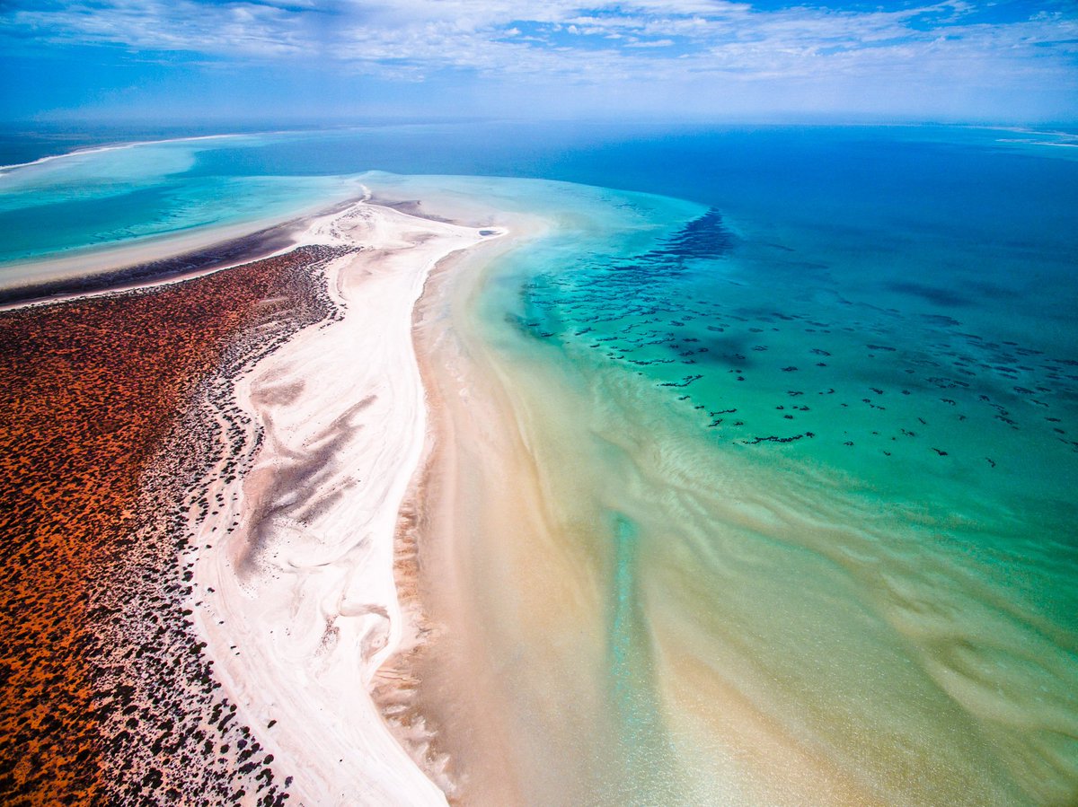 WestAustralia's tweet photo. "The landscape of Shark Bay is incredible. It’s a World Heritage site of amazing bio-diversity."  - @Salty_Wings https://t.co/py5Sba4Qus
