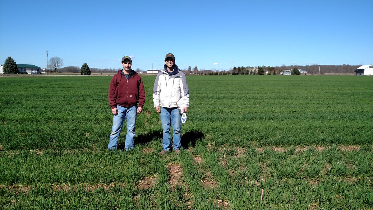 StepUpSoy's tweet photo. At Feekes 5 in Pickaway County #wheat #OSGMP https://t.co/8D8N60BLPP