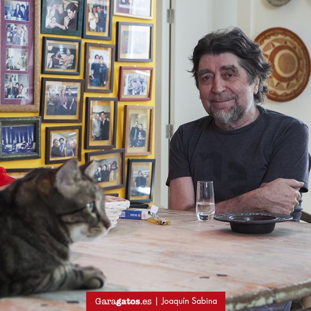 "Antes de que me quieras como quieres a un gato me largo con cualquiera que se parezca a ti" #SabinaQuotes