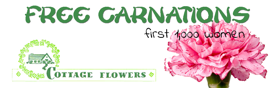 Fort Wayne Komets On Twitter Tonight Free Carnations For The