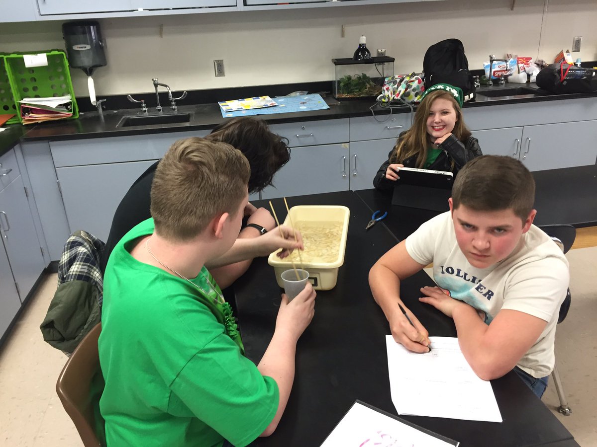 MrTomGoZeps's tweet image. Beak Adaptations lab Day 2. #goldday #naturalselection #pjhscience