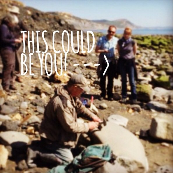 LymeRegisMuseum's tweet image. We&apos;re only trying to give a Family Fossil Walk away (for 4) on Facebook.. #freestuff #fossilwalk #1000likes