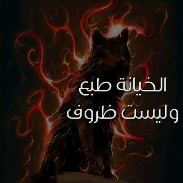 ☜الكواسر (@shmail4631) on Twitter photo 