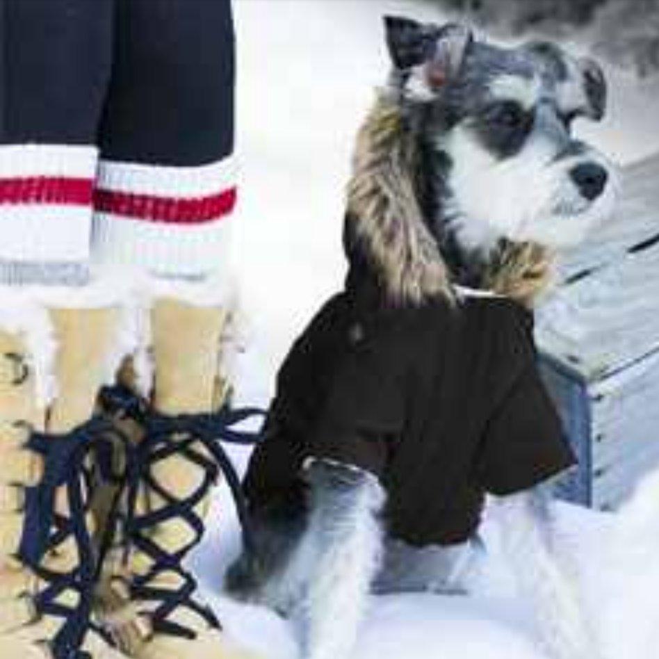 ChrisHorner1974's tweet image. The poor dog we're getting doesn't have a chance @danhorner1981 has its wardrobe planned already #moddog #parka