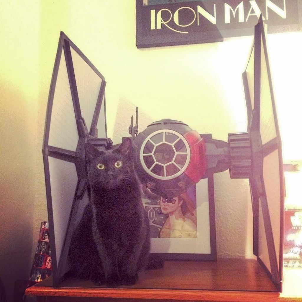 hashtagstarwars's tweet photo. New #StarWars Instagram by @troopermat // Looks like #thefirstorder have a new recruit #firstordertiefighter #starw… https://t.co/fkAJsybcfO