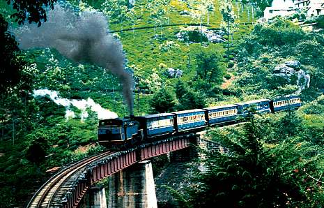 IndianNature's tweet photo. Beautiful Ooty. https://t.co/Y8TikiH9kx