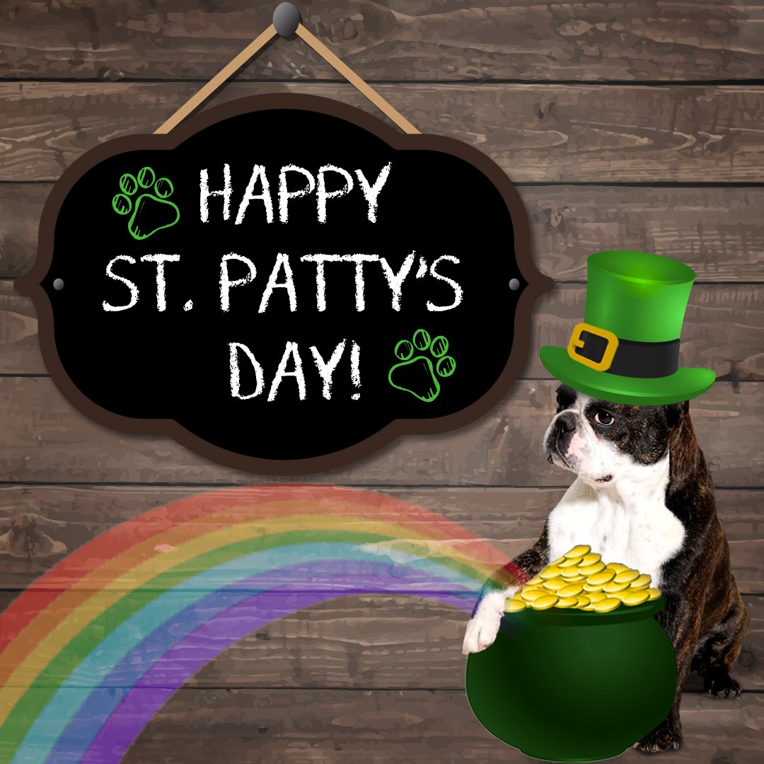This St. Patty's Day keep the luck of the Irish with you and your wallets by earning some cash back! #lucky #irish